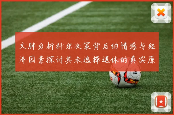 文胖分析科尔决策背后的情感与经济因素探讨其未选择退休的真实原因